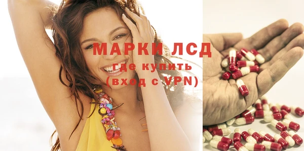 трава Верея