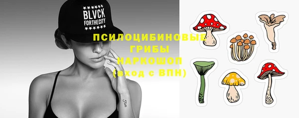трава Верея
