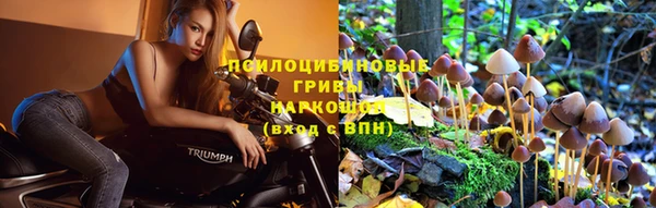гидропоника Верхнеуральск