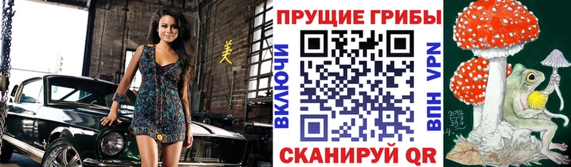 дарнет шоп  Пятигорск  Псилоцибиновые грибы прущие грибы 