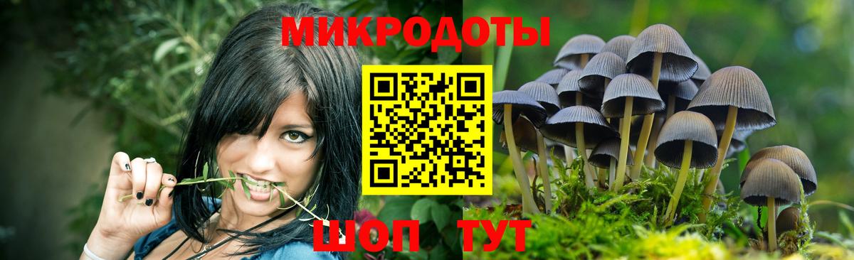 Псилоцибиновые грибы ЛСД Пятигорск