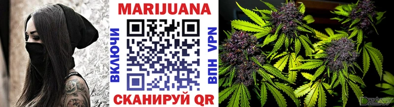 kraken как войти  Пятигорск  Конопля индика 